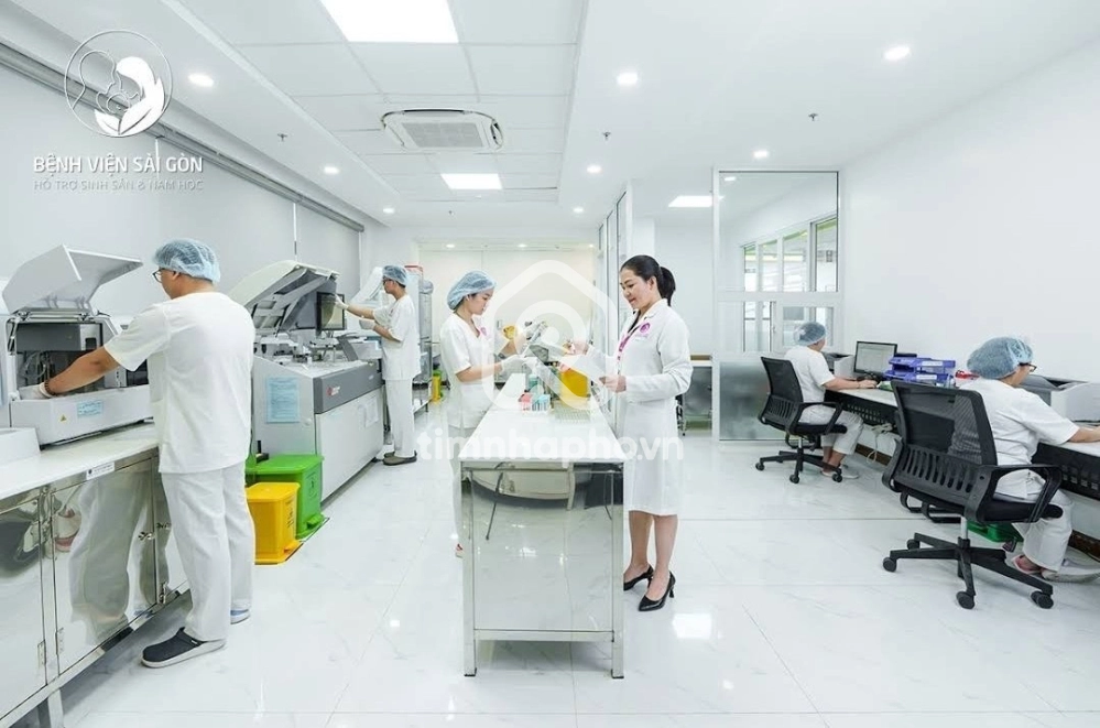 87 Đường Lý Chiêu Hoàng, Phường 10, Quận 6