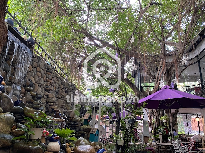 149/12 Đường Bành Văn Trân, Phường 7, Tân Bình