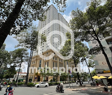 153 Đường Lý Thường Kiệt, Phường 7, Quận 11