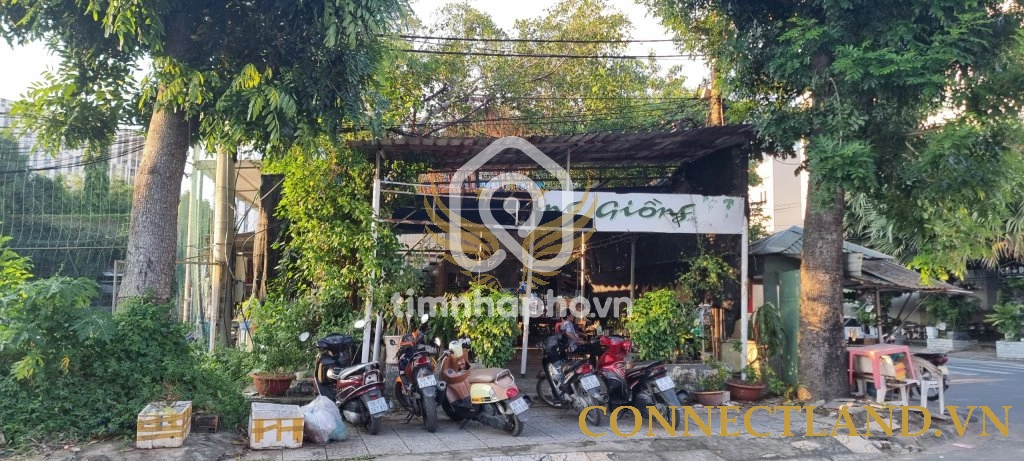 303 Đường Thân Văn Nhiếp, Phường An Phú, Thủ Đức