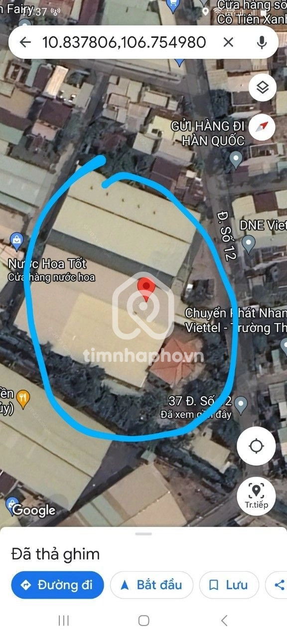 37-39 Đường Số 12, Phường Trường Thọ, Thủ Đức