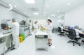 87 Đường Lý Chiêu Hoàng, Phường 10, Quận 6