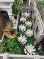 90/88A Đường Cây Điệp, Phường Đa Kao, Quận 1
