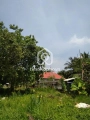 175 Đường Số 5, Phường Long Bình, Thủ Đức