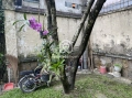 31/8/14 Đường Số 17, Phường Hiệp Bình Chánh, Thủ Đức
