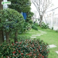 31/8/14 Đường Số 17, Phường Hiệp Bình Chánh, Thủ Đức