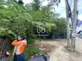 Đường Trần Văn Giàu, Xã Bình Lợi, Bình Chánh