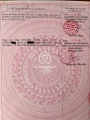 53 Đường Số 281, Phường 15, Quận 11