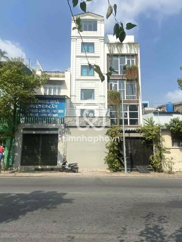 44 Đường Tân Sơn, Phường Tân Sơn