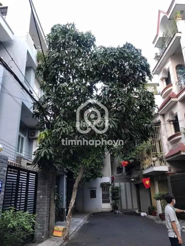 Bán Nhà phố Hẻm Đường Thân Nhân Trung Tân Bình 
