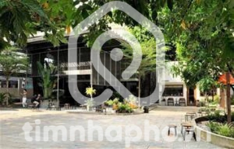 Nhà phố Hẻm Đường Hoàng Hoa Thám Bình Thạnh - 4 tầng - Giá Chỉ 170 Tỷ