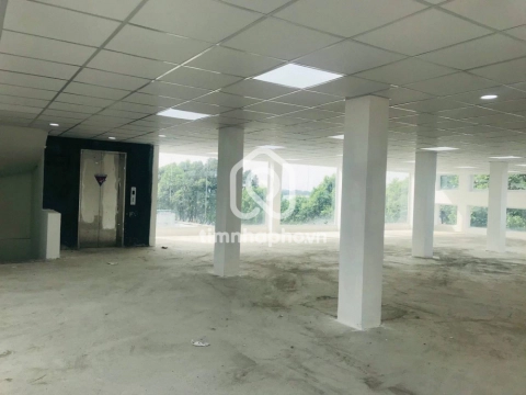 938A Đường Trường Chinh, Phường Tân Sơn