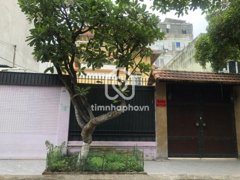Biệt Thự Mặt Tiền Đường Ngô Bệ Tân Bình - 2 tầng - Giá Chỉ 63 Tỷ
