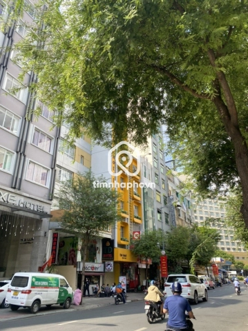 255-257 Đường Lê Thánh Tôn, Phường Bến Thành