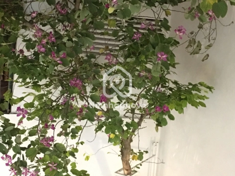 38/6L Đường Nguyễn Văn Trỗi, Phường Cầu Kiệu