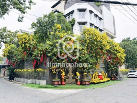AA14 Đường Thất Sơn, Phường Hòa Hưng