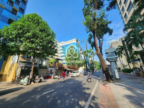 19-21-23 Đường Mạc Đĩnh Chi, Phường Sài Gòn