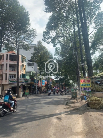 487 Đường Tô Hiến Thành, Phường Diên Hồng