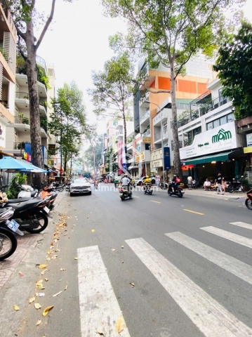 205 Đường Trần Bình Trọng, Phường Chợ Quán