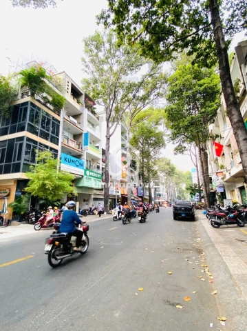 205 Đường Trần Bình Trọng, Phường Chợ Quán