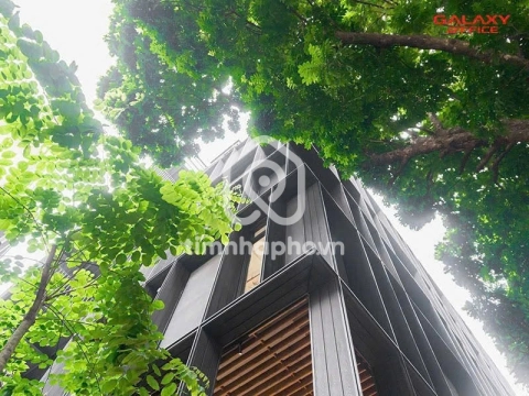 Đất Mặt Tiền Đường Trần Quốc Thảo Quận 3 - 1 hầm 6 tầng - Giá Chỉ 145 Tỷ