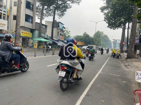 239 Đường Lê Hồng Phong, Phường Chợ Quán
