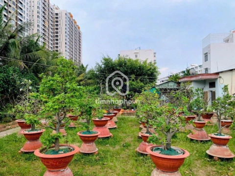 Đất Mặt Tiền Đường Lê Tấn Bê Bình Tân - 1 tầng - Giá Chỉ 60 Tỷ