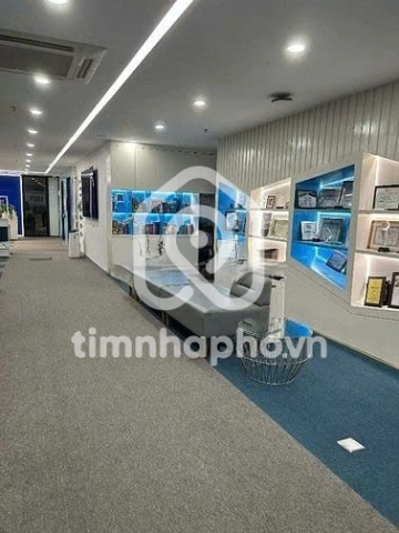 52 Đường Út Tịch, Phường Tân Sơn Nhất