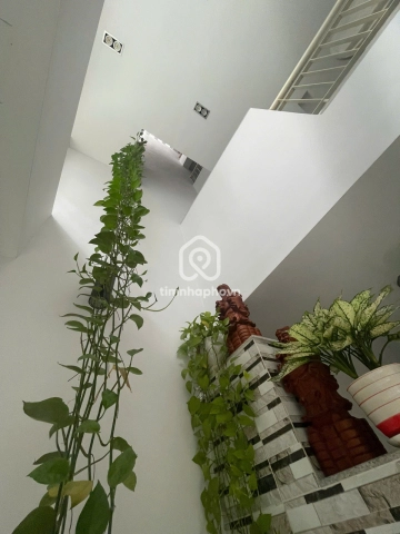 21/14 Đường Hồng Lạc, Phường Bảy Hiền