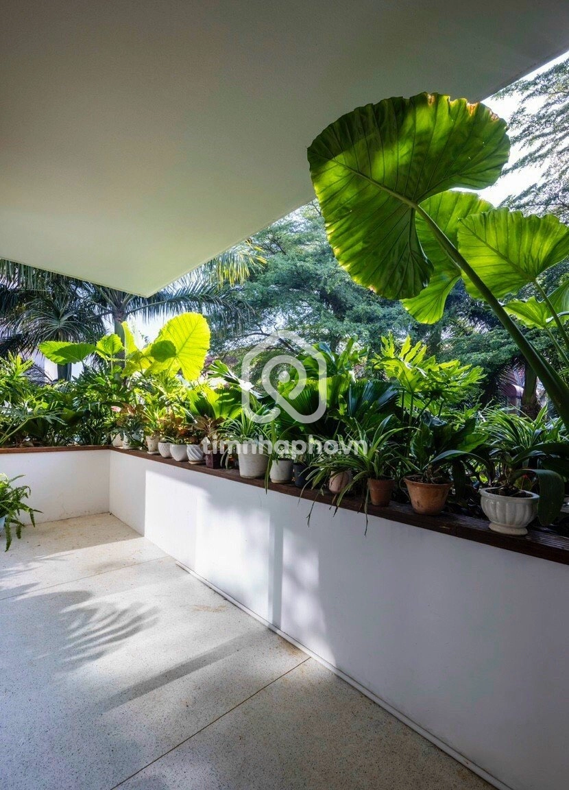 215D7 Đường Nguyễn Văn Hưởng, Phường Thảo Điền, Thủ Đức