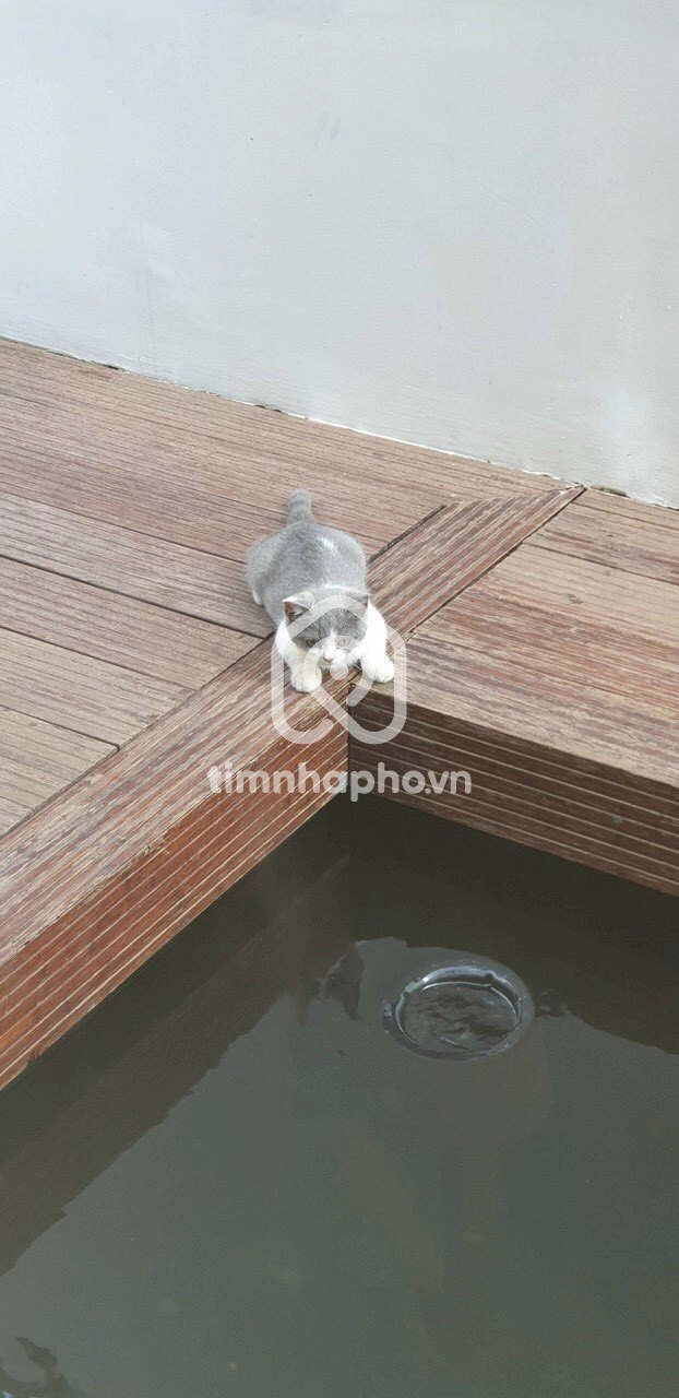 215D7 Đường Nguyễn Văn Hưởng, Phường Thảo Điền, Thủ Đức