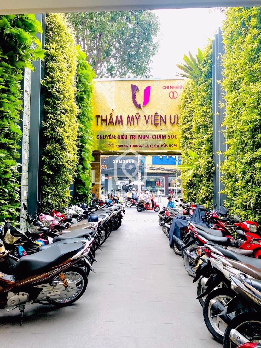 1222 Đường Quang Trung, Phường 8, Gò Vấp