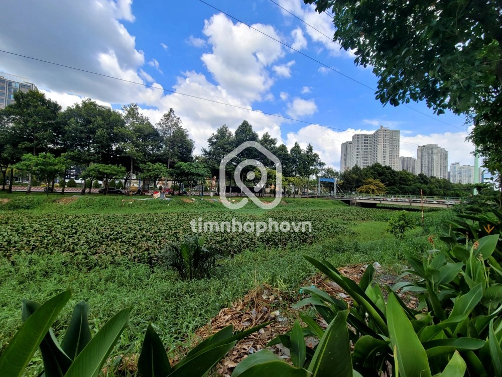 Đường Song Hành, Phường An Phú, Thủ Đức