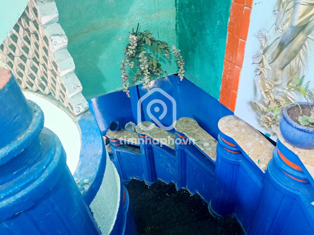 41 Đường Trần Quý Cáp, Phường 11, Bình Thạnh