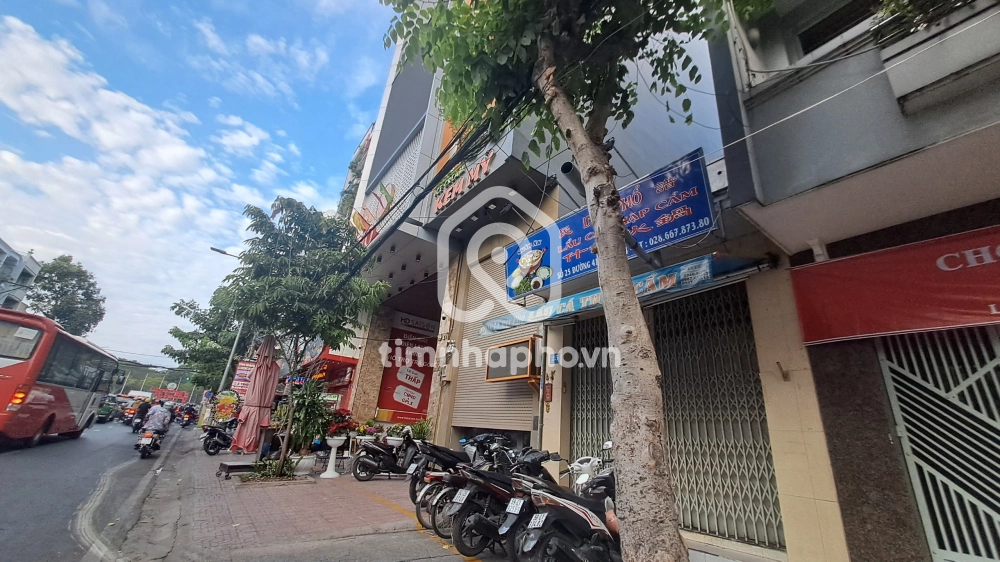 27 Đường Số 41, Phường 6, Quận 4