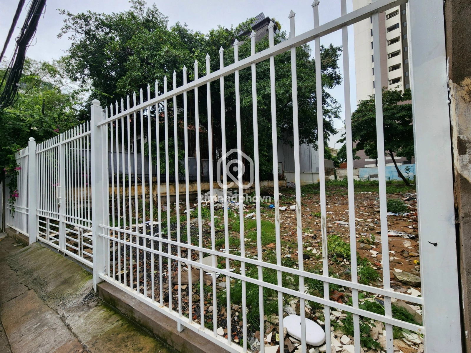 Đường Số 65, Phường Thảo Điền, Thủ Đức