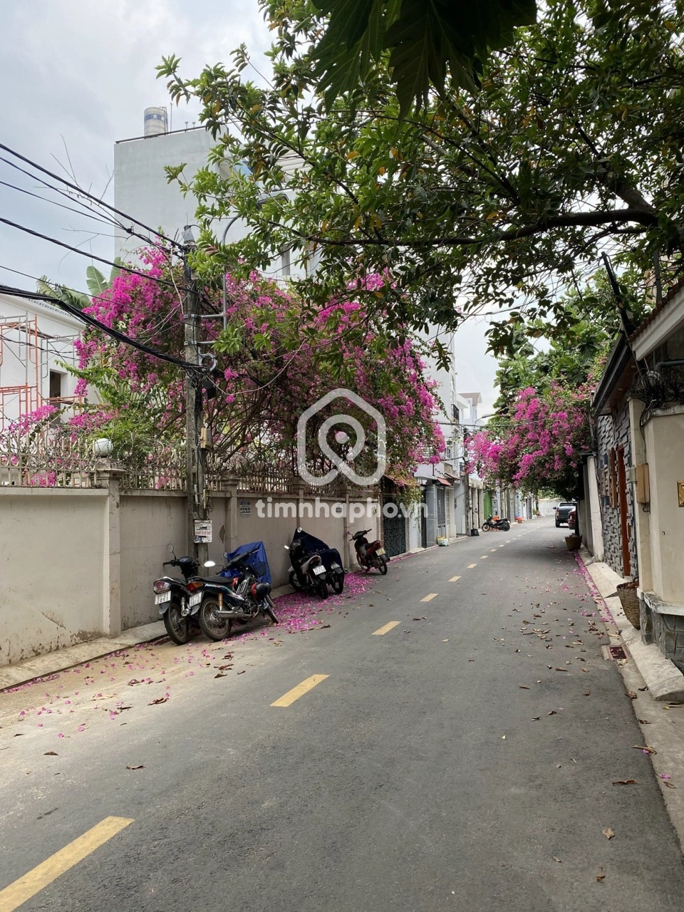 5 Đường Số 43, Phường Thảo Điền, Thủ Đức