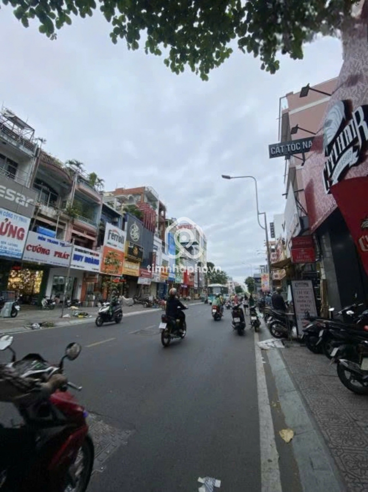 242 Đường Tô Hiến Thành, Phường 15, Quận 10