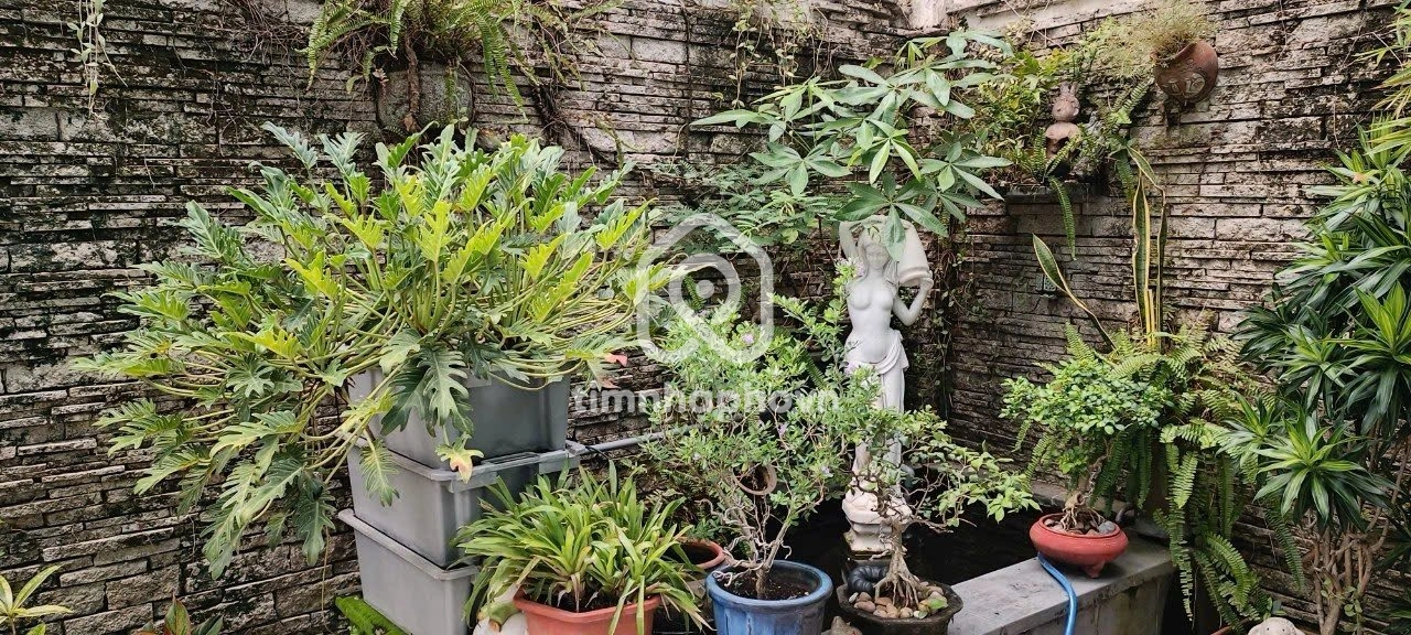 8 Đường Số 40, Phường An Khánh, Thủ Đức