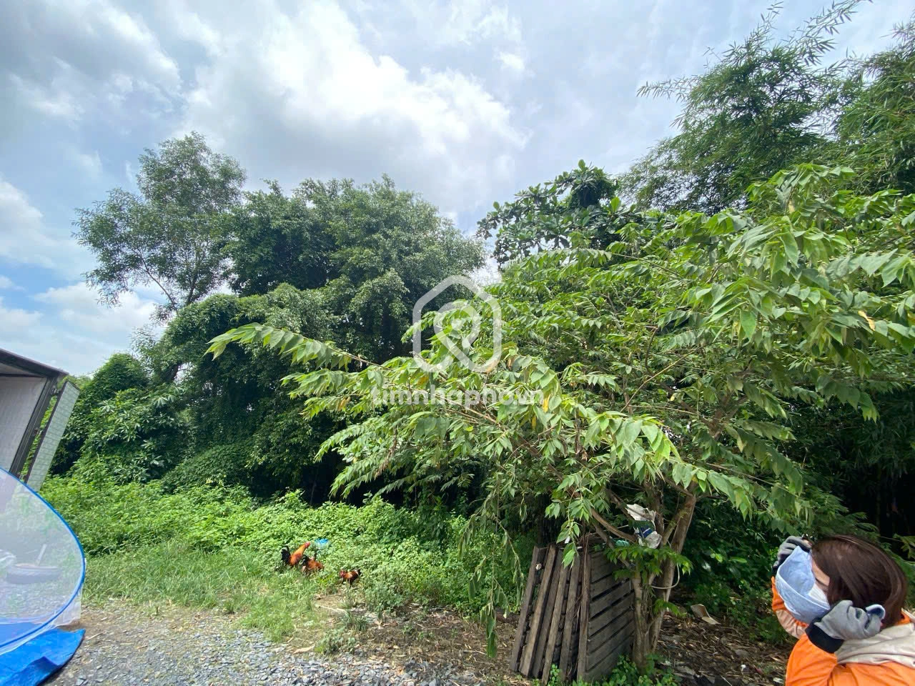 Đường Trần Văn Giàu, Xã Bình Lợi, Bình Chánh