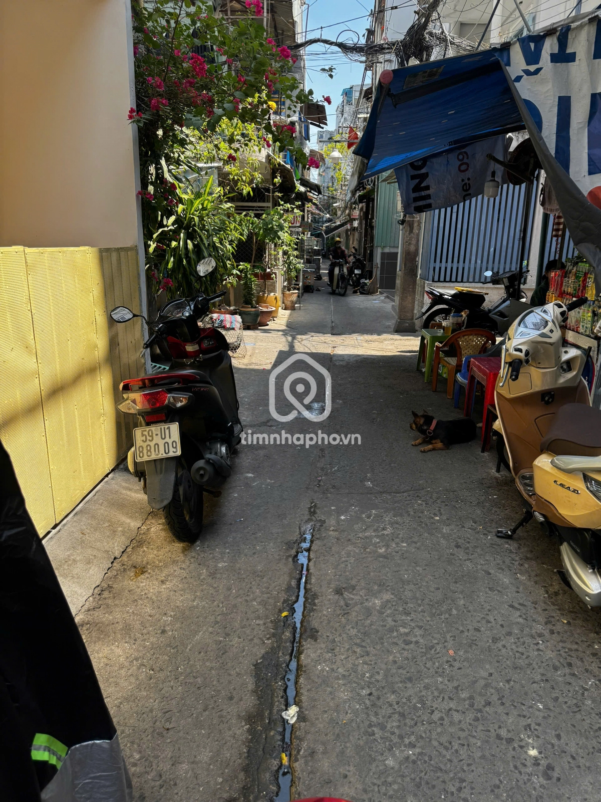 24/26 Đường Nguyễn Văn Cừ, Phường Cầu Kho, Quận 1
