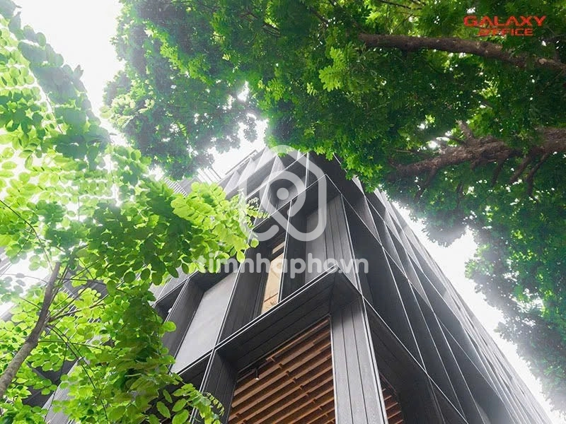 28 Đường Trần Quốc Thảo, Phường Xuân Hòa