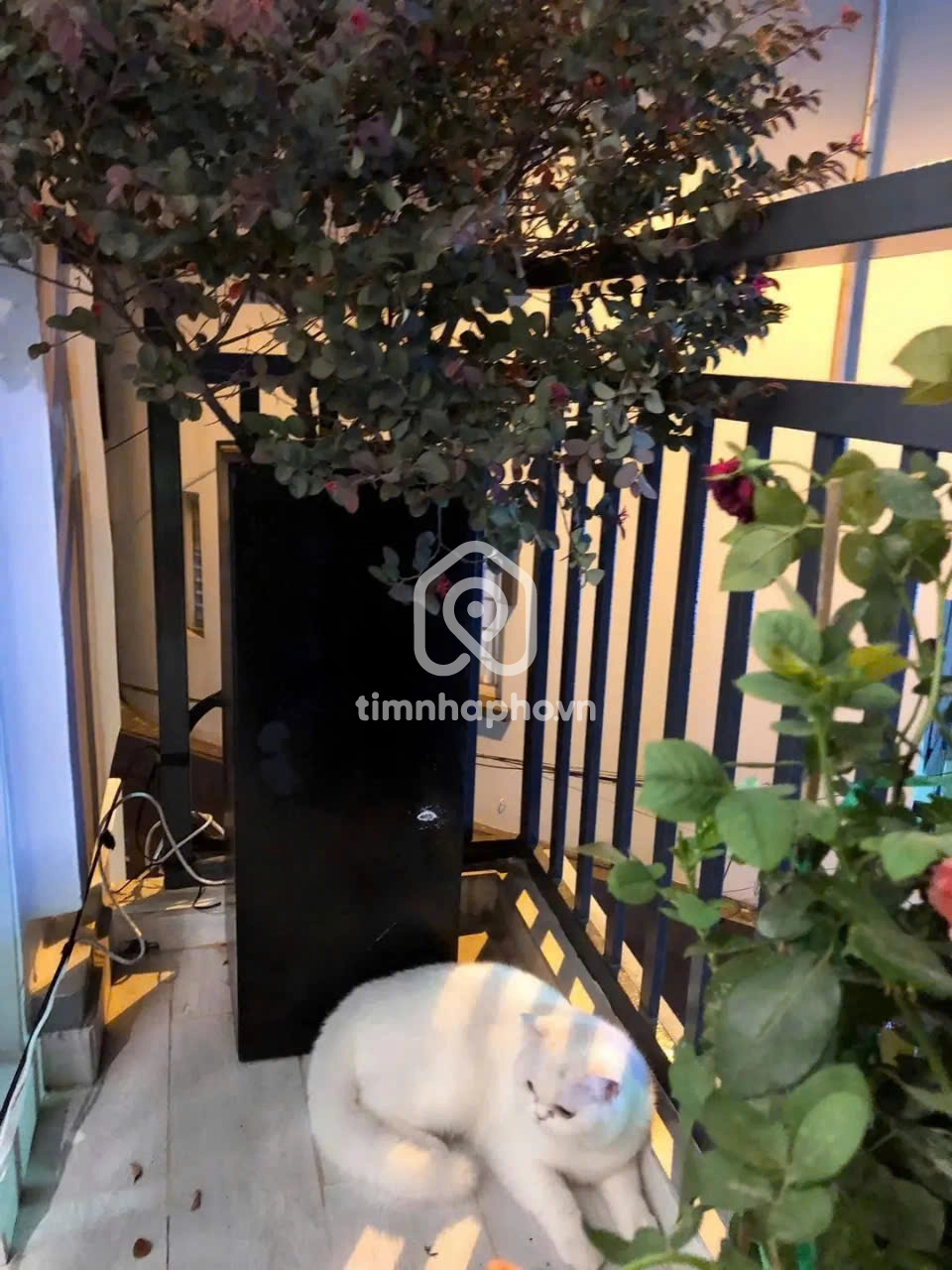 131 Đường Hoa Lan, Phường 2, Phú Nhuận