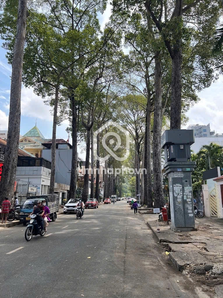 91 Đường Sương Nguyệt Ánh, Phường Bến Thành, Quận 1