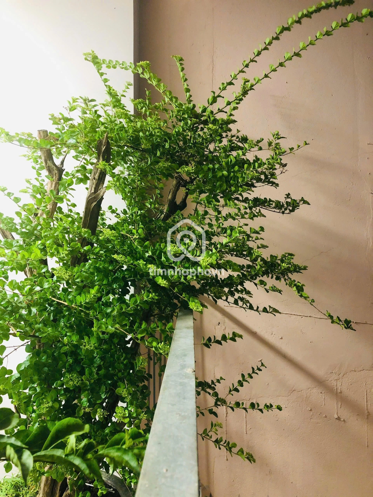 80/30-32 Đường Nguyễn Cửu Vân, Phường 17, Bình Thạnh