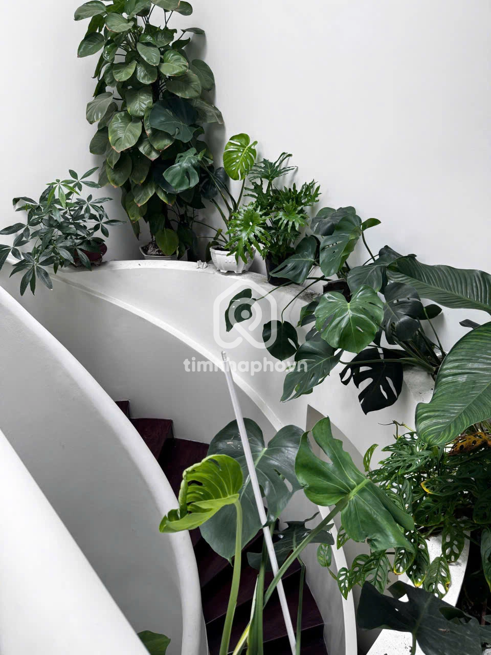 562/23 Đường Nguyễn Kiệm, Phường 4, Phú Nhuận