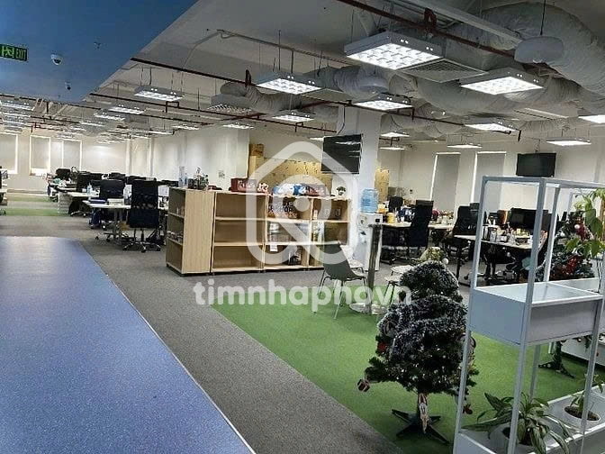 52 Đường Út Tịch, Phường 4, Tân Bình