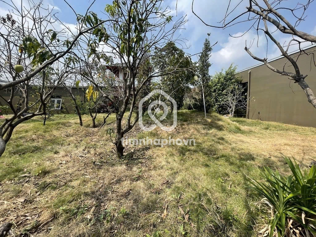 33 Đường Nguyễn Văn Dung, Phường 6, Gò Vấp