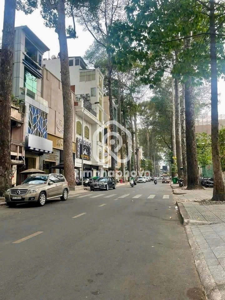 11 Đường Sương Nguyệt Anh, Phường Bến Thành
