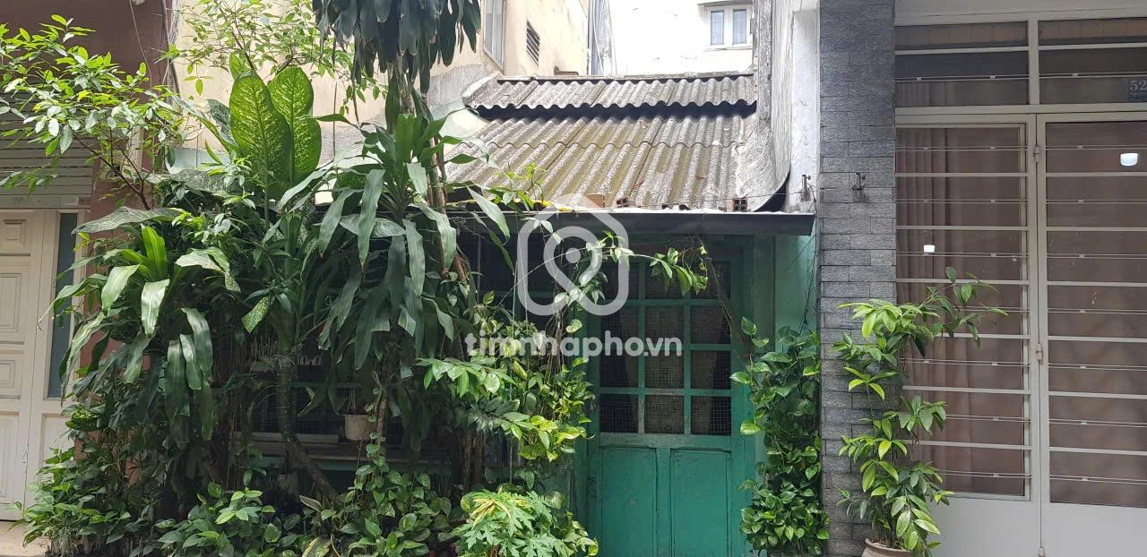 529/8 Đường Nguyễn Tri Phương, Phường Diên Hồng